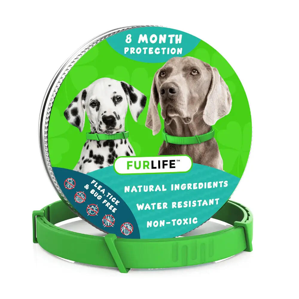 #2 — FurLife Flea & Tick Collar for Dogs FurLife Flea & Tick Collar for Dogs
