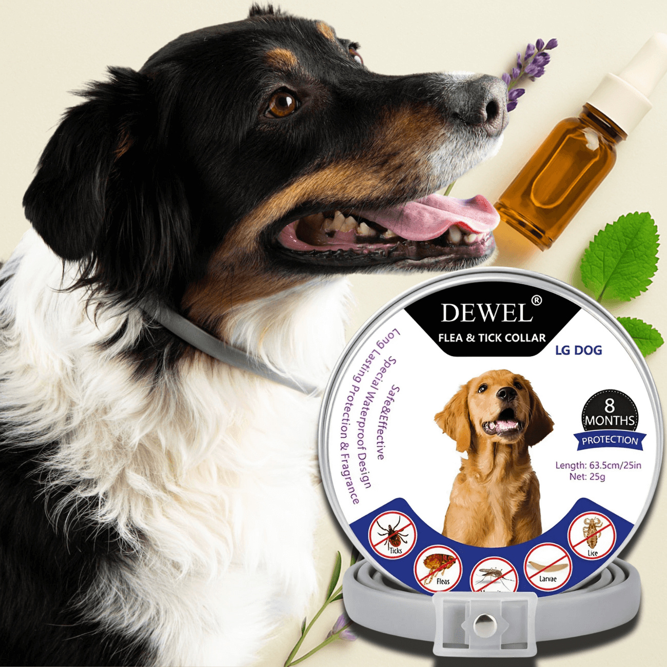 DEWEL Natural Collar: Built for Daily Flea Defense