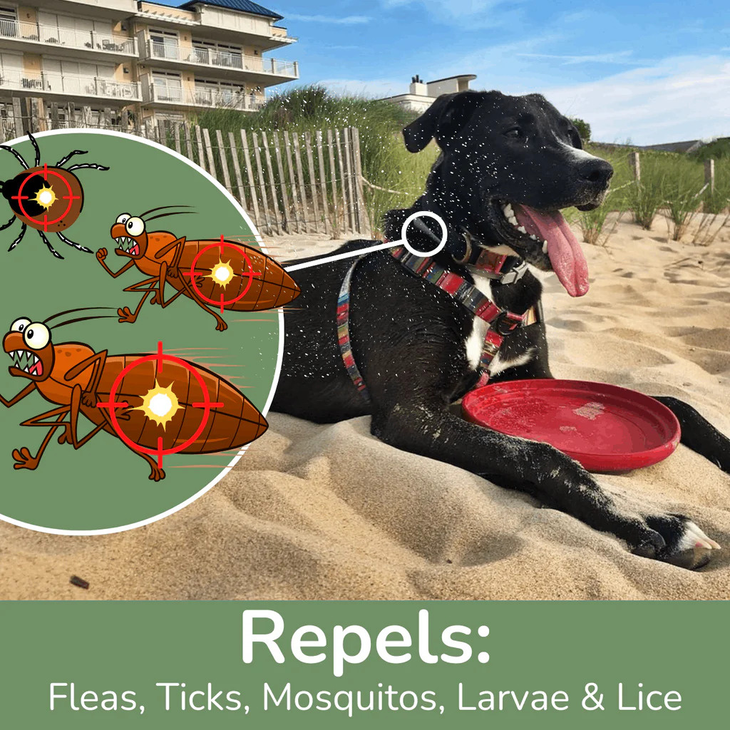 What Makes a Good Flea Repellent for Dogs?